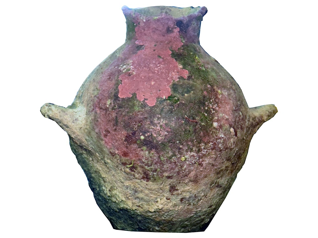 Gozo, a Phoenician period shipwreck that sank about 700 BC. - Gozo wreck cargo